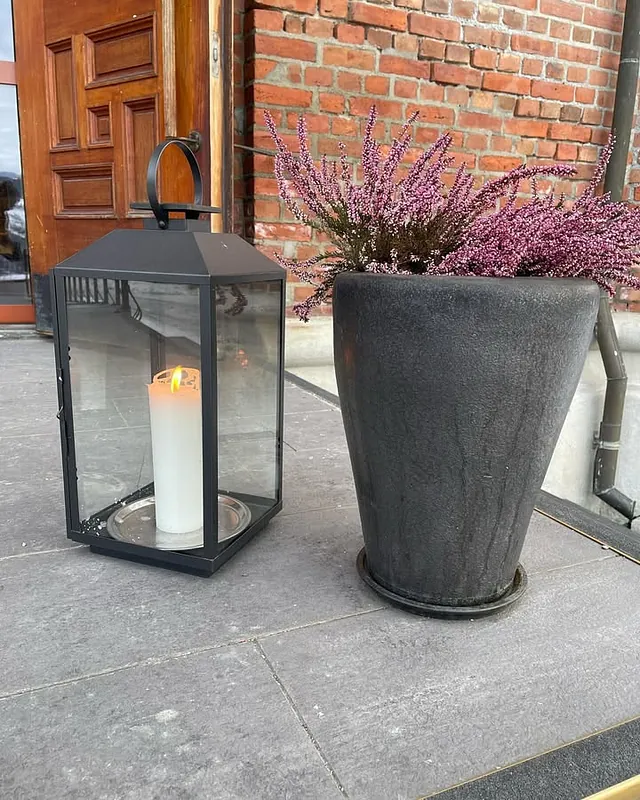 Lykt og blomst